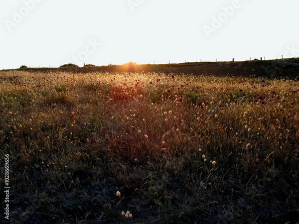Obraz Coucher de soleil au Glenan