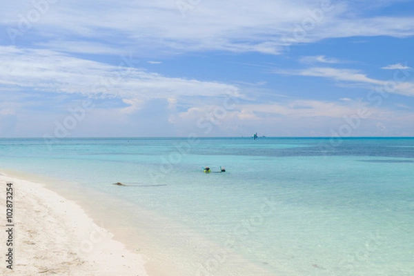 Fototapeta The crystal clear and shallow waters on the islands of the Dry Tortugas an excellent place to snorkel