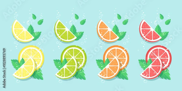 Fototapeta Slices of citrus fruits and mint leaves. Fresh, sparkling, cool, colorful flat vector illustration. Best for logo, print, stickers, branding design and promotion.