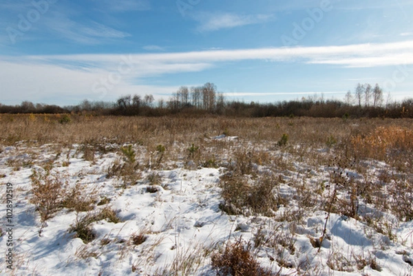 Fototapeta Scenery. Sunny autumn day. The first white snow fell on the field of dry grass. Above the horizon is a cold blue sky with white clouds.
