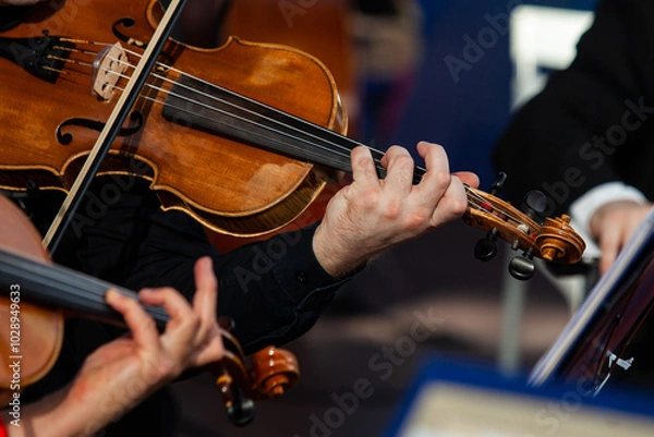 Fototapeta  Viola in the hands of a musician in a symphony orchestra