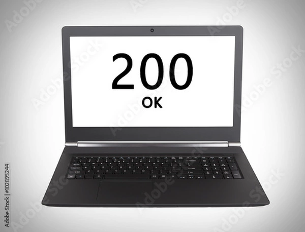 Obraz HTTP Status code - 200, OK