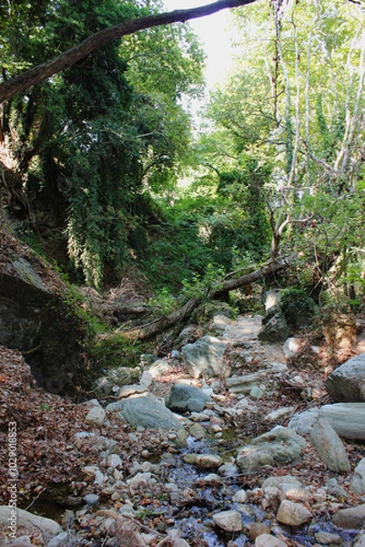 Fototapeta The path of the centaurs (after Cyclone Daniel) Portaria Pelion Greece