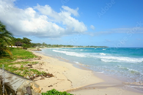 Fototapeta Long Bay is a scenic beach located in Portland parish of Jamaica, not too far from city of Port Antonio. Photo taken December 30, 2013. 