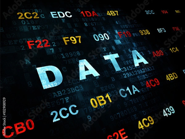 Fototapeta Information concept: Data on Digital background