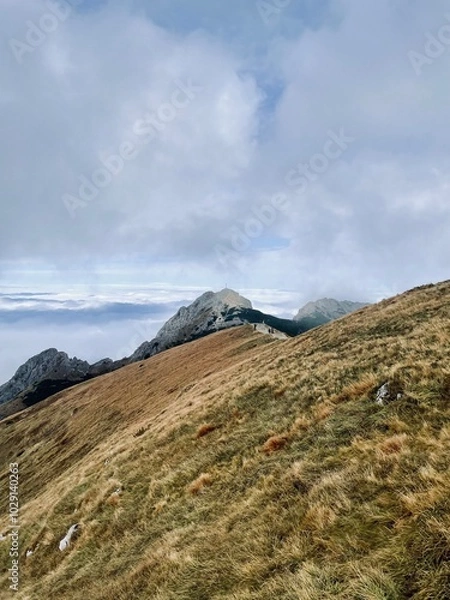 Obraz clouds over the mountains