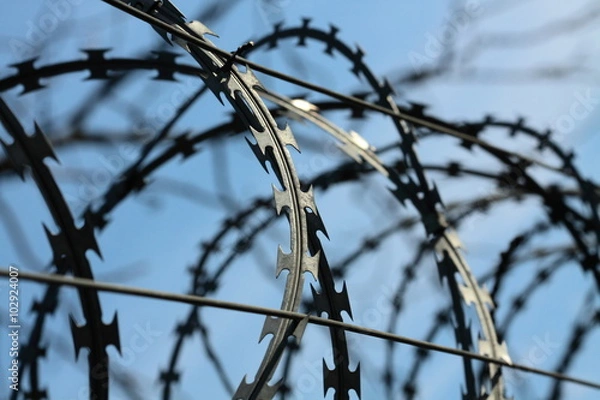 Obraz Barbed wire
