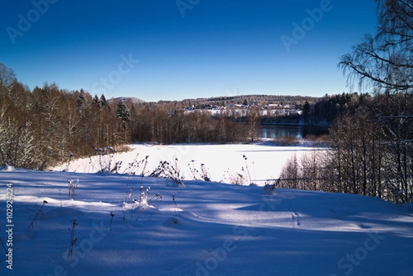 Obraz Winter view