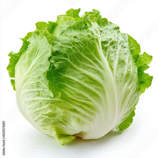 Obraz Iceberg lettuce isolated on white background