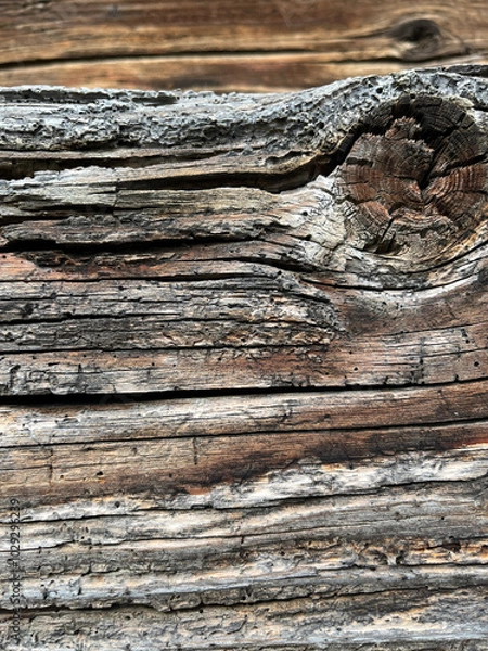 Obraz Closeup of 300 years old and weathered wood