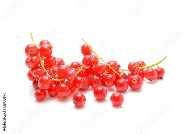Fototapeta Red Currant isolated on white background