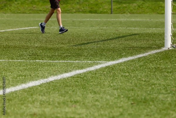 Fototapeta Football field with synthetic grass, with its lines near the goal, goalpost and nets, and a pair of running feathers.