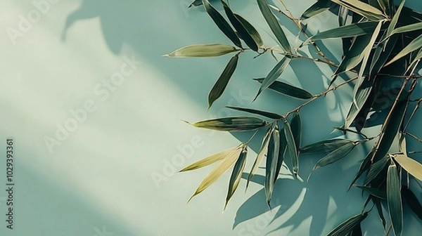 Fototapeta   A detailed image of a leafy plant against a soft blue backdrop and featuring a cast shadow on the left It's all about capturing nature's beauty