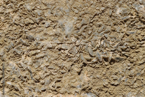 Obraz Cement wall encrusted with flint shards
