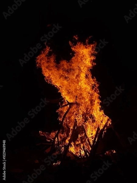 Obraz fire in the forest