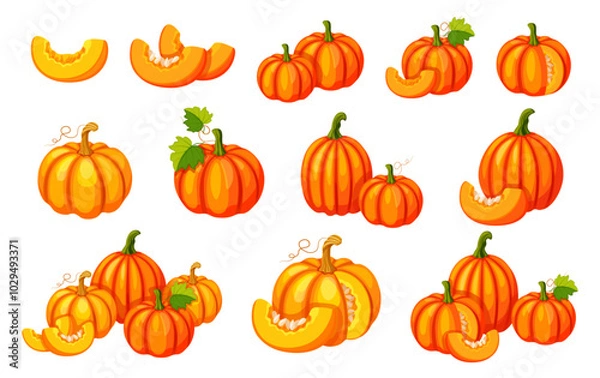 Obraz Set of fresh pumpkins in cartoon style.Vector illustration of yellow and orange pumpkins of different sizes and shapes, with seeds, halves, whole, in section, with tendrils, stems and leaves. Harvest.