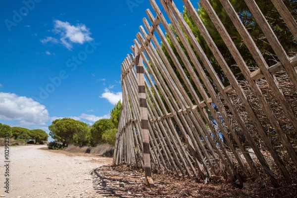 Obraz View of an old wood fence to hold sand dunes on the Algarve, Portugal.