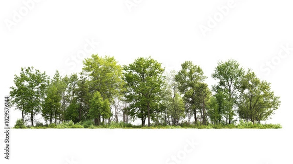 Fototapeta Scenic view of a lush green tree line on a clear day, highlighting the beauty of nature and tranquility. Perfect for nature-themed projects.