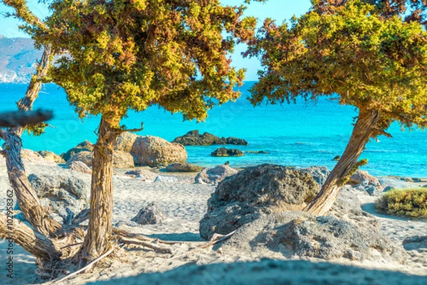 Fototapeta Beautiful cretan beach with cedar trees, Greece