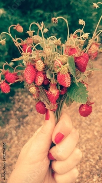 Fototapeta Земляника