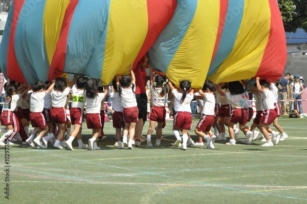 Fototapeta 運動会競技　園庭　園児　バルーン　カラフル　パラバルーン