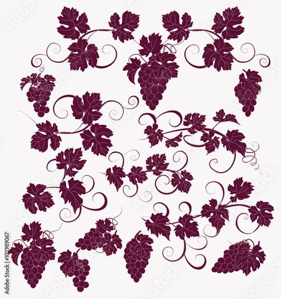 Obraz Vector design elements in vintage style with vines.