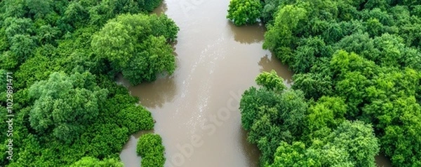 Obraz Enhancing Flood Resilience: Aerial Views of Natural Barrier Installation in Flood-Prone Zones