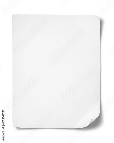 Obraz 一枚の白い紙のテクスチャー