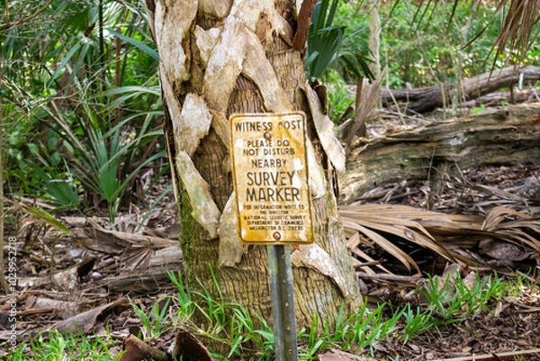 Obraz sign in the forest