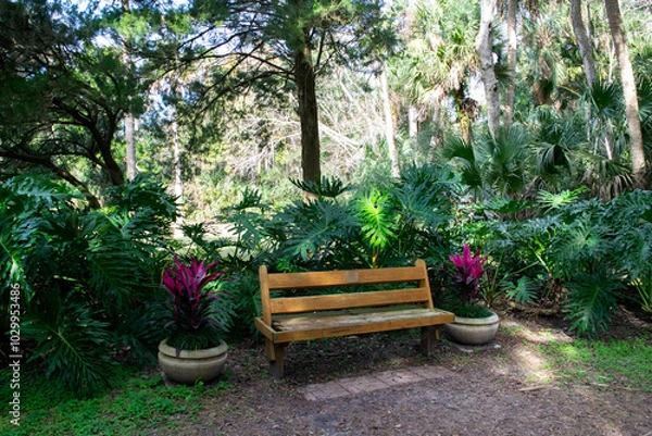 Obraz bench in the garden