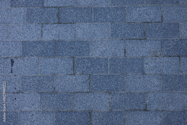Fototapeta The texture of brick paving slabs, the background is brick tiles.