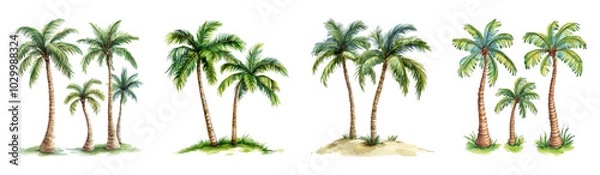 Fototapeta A set of watercolor palm trees png. Watercolor tropical palm trees watercolor on transparent background. Tropical botany. Vector illustration.