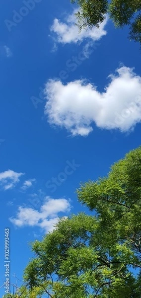 Fototapeta 푸른 하늘 흰구름