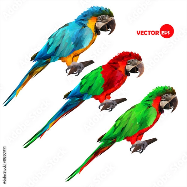 Fototapeta set of colorful tropical macaw parrots sitting on a wood stick.
geometric, vector illustration done in low polygon (low poly) style on a white
background