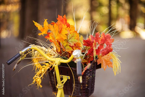 Fototapeta Bouquet of autumn maple leaves and dry ears of wheat in the basket of an old yellow bicycle. The vibe of an autumn walk in the park.