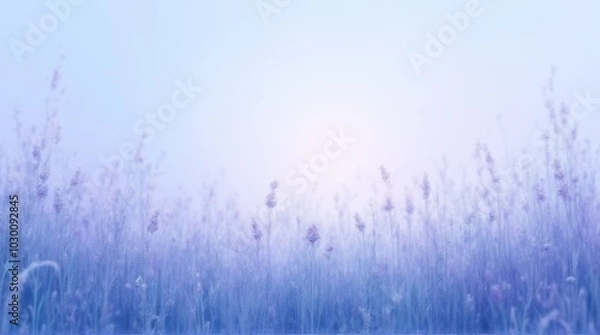 Obraz grass in the wind