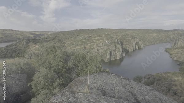 Fototapeta Panoramic view of Duero River canyon with rocky cliffs and forests