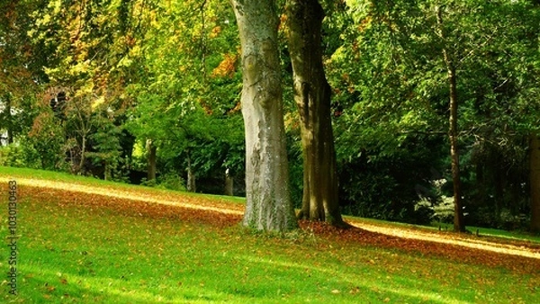 Obraz Rai soleil parc