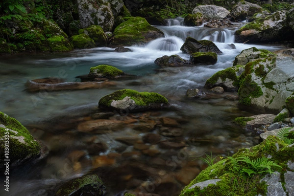 Obraz 美しい滝のある風景