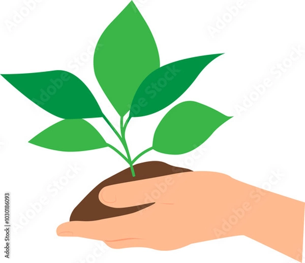 Fototapeta Hand holding green plant planted in the soil.  Vector illustration with transparent background.	
