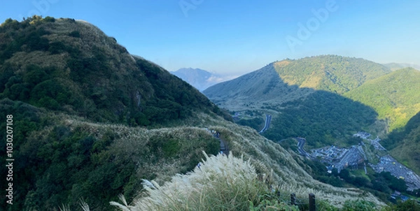 Obraz Golden sunset over Yangmingshan's fields of silvergrass swaying gently in the breeze.