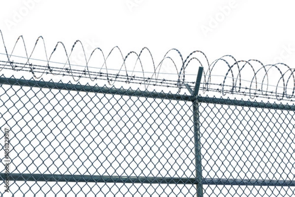 Fototapeta Barbed wire fence isolated on transparent background.