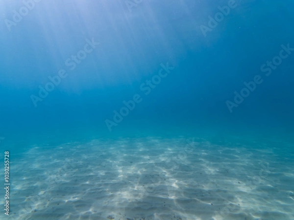 Fototapeta Underwater photo, azure sea with sandy bottom in the South of France.