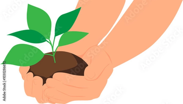 Fototapeta Hands of an adult holding green plant with soil for planting. Vector illustration with transparent background.	
