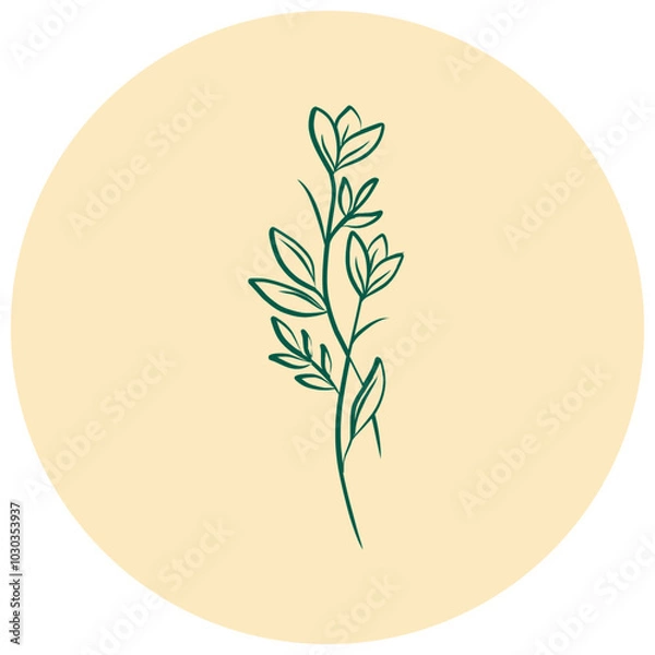 Fototapeta Botanical Circle Vector