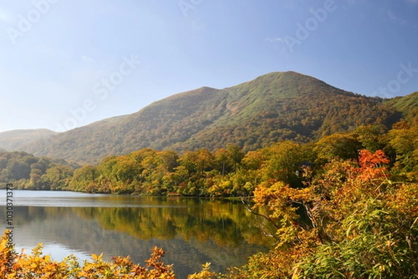 Obraz 須川湖　栗駒山
湖の周り遊歩道一周20分散歩道があります