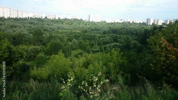 Fototapeta Зеленая Москва