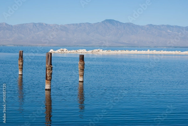 Obraz Posts in water at Salton Sea