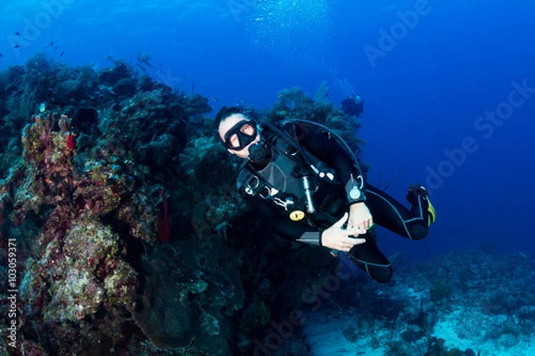 Fototapeta SCUBA Diver on a Tropical Reef