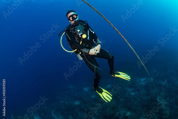 Fototapeta SCUBA Diver next to a descent line
